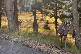 492 Mountain Rd, Albrightsville, PA 18210 - Photo 23