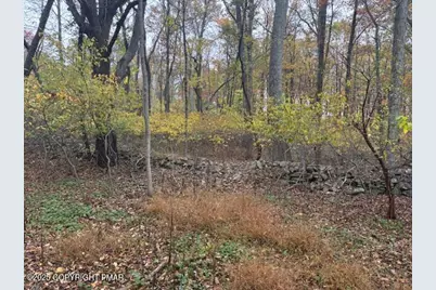  207 Munch Drive, Henryville, PA 18332 - Photo 41