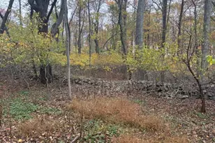 207 Munch Dr, Henryville, PA 18332 - Photo 41