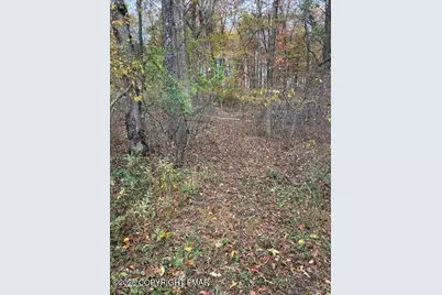  207 Munch Drive, Henryville, PA 18332 - Photo 39