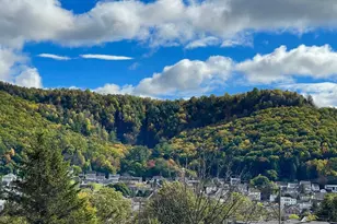 105 E Columbus Ave, Nesquehoning, PA 18240 - Photo 21