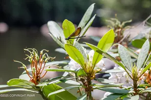 614 Graystones Jeras Rd, Albrightsville, PA 18210 - Photo 9