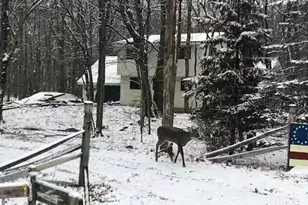 7 Wintergreen Ct, Albrightsville, PA 18210 - Photo 39