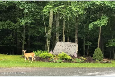  597 Upper Playground Trail, Hawley, PA 18428 - Photo 7