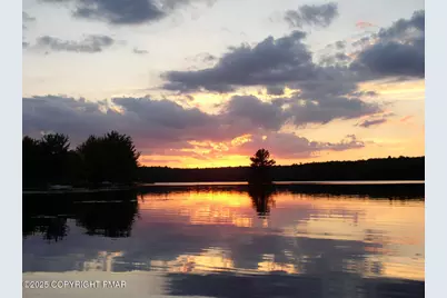  1242 Shadblow Road, Pocono Summit, PA 18346 - Photo 41