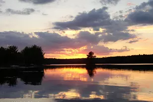 1242 Shadblow Rd, Pocono Summit, PA 18346 - Photo 41