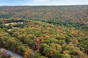 129 Lentz Trail, Jim Thorpe, PA 18229 - Photo 91