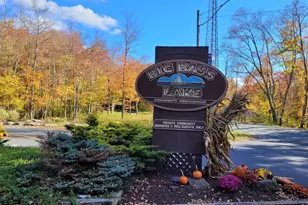 106 Lyman Ln, Clifton Township, PA 18424 - Photo 59