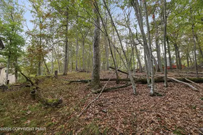  385 Saunders Drive, Bushkill, PA 18324 - Photo 35