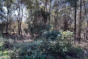 Lot I731 Yellow Run Rd, Jim Thorpe, PA 18229 - Photo 3