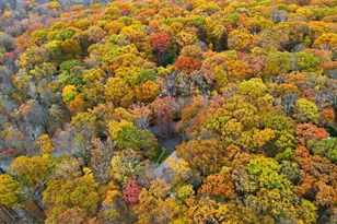 519 Pheasant Ln, Buck Hill Falls, PA 18323 - Photo 67