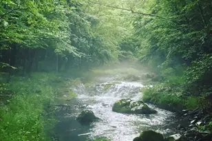 519 Pheasant Ln, Buck Hill Falls, PA 18323 - Photo 75