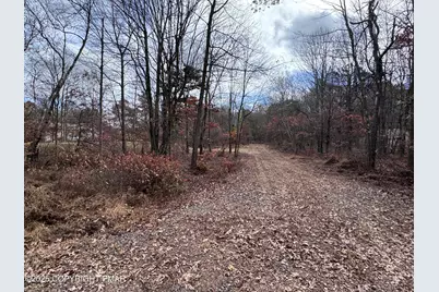  D299 Robertson Road, Albrightsville, PA 18210 - Photo 5