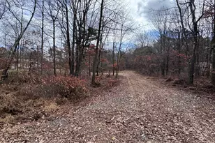 D299 Robertson Rd, Albrightsville, PA 18210 - Photo 5