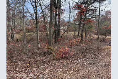  D299 Robertson Road, Albrightsville, PA 18210 - Photo 7