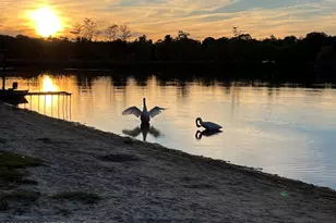 1249 Lexington Ave, Pocono Summit, PA 18346 - Photo 19