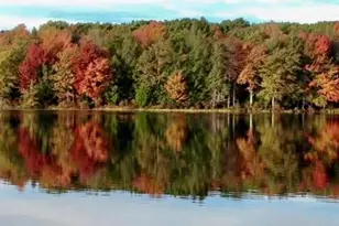 1249 Lexington Ave, Pocono Summit, PA 18346 - Photo 21