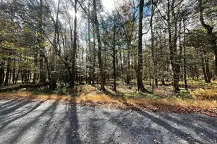 27 Raintree Ln, Albrightsville, PA 18210 - Photo 35