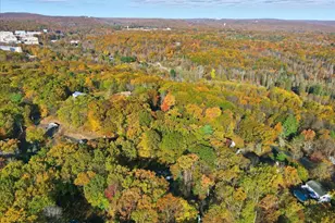 349 Bumblebee, Cresco, PA 18326 - Photo 107