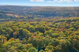 349 Bumblebee, Cresco, PA 18326 - Photo 109