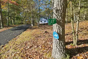 349 Bumblebee, Cresco, PA 18326 - Photo 101