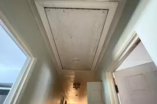 927 Pearl Blvd, Montoursville, PA 17754 - Photo 29