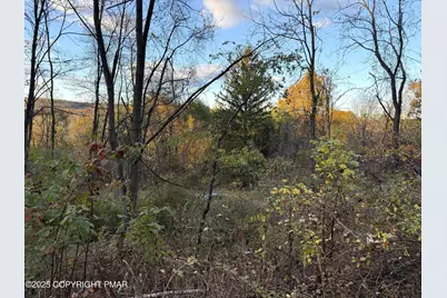  Preachers Camp Drive, Lehighton, PA 18235 - Photo 5