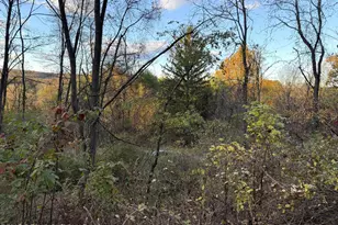 Preachers Camp Dr, Lehighton, PA 18235 - Photo 5