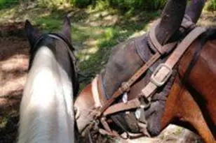 3282 Bluebird Dr, Bushkill, PA 18324 - Photo 35