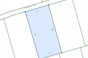 Chippewa Trail, Albrightsville, PA 18210 - Photo 3