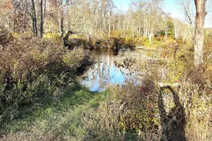 4129 Firefly Ct, Pocono Lake, PA 18347 - Photo 77