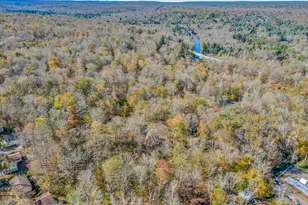 4129 Firefly Ct, Pocono Lake, PA 18347 - Photo 71