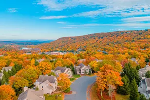 182 Upper Village Way, Tannersville, PA 18372 - Photo 53