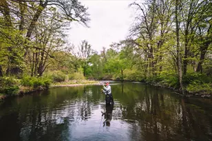 1341 Beaver Valley Rd, Stroudsburg, PA 18360 - Photo 83