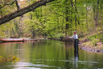  1341 Beaver Valley Road, Stroudsburg, PA 18360 - Photo 17