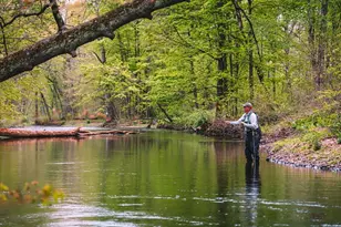 1341 Beaver Valley Rd, Stroudsburg, PA 18360 - Photo 17