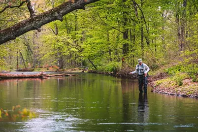 1341 Beaver Valley Road, Stroudsburg, PA 18360 - Photo 33