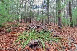 641 Long Mountain Rd, Effort, PA 18330 - Photo 7