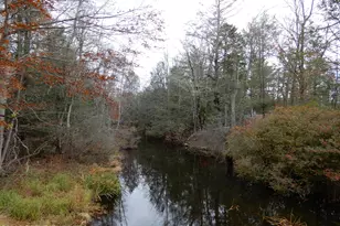 2167 Freedom Way, Pocono Summit, PA 18346 - Photo 3