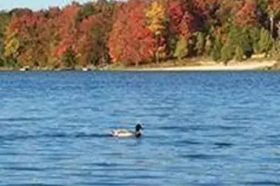 6098 Boardwalk Dr, Tobyhanna, PA 18466 - Photo 25