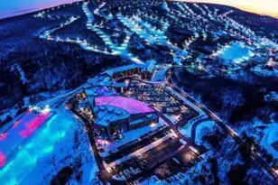 394 Rt 447, Newfoundland, PA 18445 - Photo 47