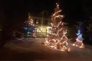 394 Rt 447, Newfoundland, PA 18445 - Photo 3