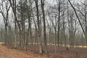 Chippewa Ct Lots 72 & 73, Hawley, PA 18428 - Photo 1