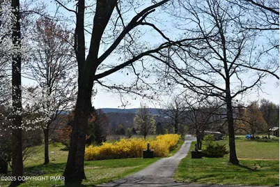  113 Jackson Road, Shavertown, PA 18708 - Photo 9