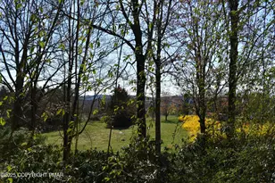 113 Jackson Rd, Shavertown, PA 18708 - Photo 13