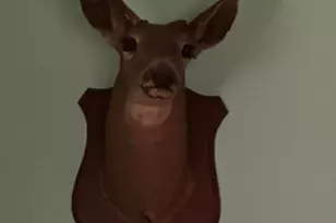 545 Manzanedo Lake Rd, East Stroudsburg, PA 18302 - Photo 29