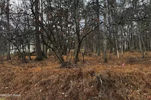 D1922 Old Stage Rd, Albrightsville, PA 18210 - Photo 11