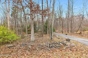 1208 Mattioli Rd, Bartonsville, PA 18321 - Photo 23