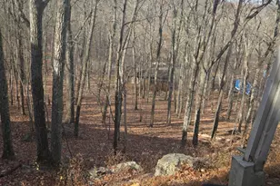 1107 Hampstead Ct, Bushkill, PA 18324 - Photo 17