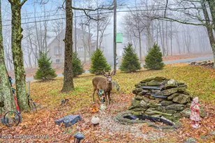 150 Mallard Ln, Albrightsville, PA 18210 - Photo 37